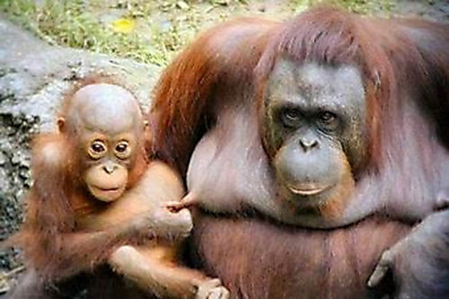 Humortimee's profile picture. Just for fun, dont be shy ^^