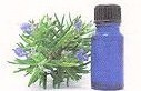 Internet based business selling Aromatherapy essential oils, Oil burners and fragrances and incense. Please visit our website http://t.co/dQybsmA44m
