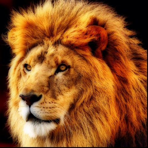 Juanqui82's profile picture. Optimismo, energía y corazón.