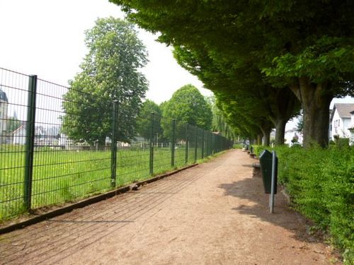 falconmerch's profile picture. local and soon to be international merchandise seller