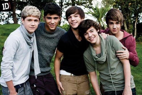 I love 1D, JB, and Glee