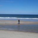 Dana Grim - @DanaGrim - Twitter