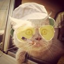 Andy_Swan - @Lucendorf - Twitter