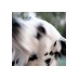 em.martelli (@emmartelli) Twitter profile photo