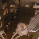 Janet MacLean - @jemaclean - Twitter