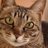 0514_Hikaru's profile image