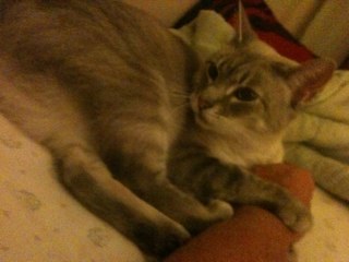 NanaSsbracken's profile picture. 