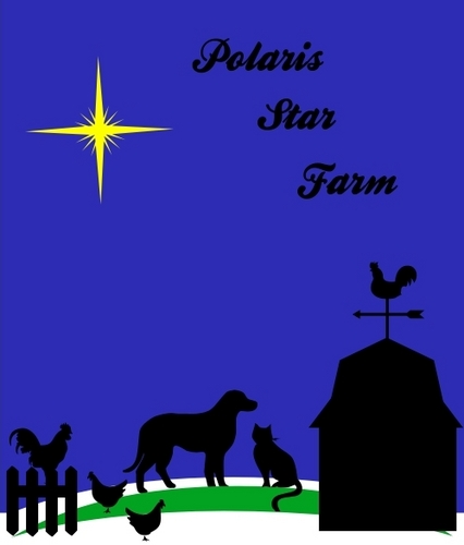 Preserving the past for the future and loving our heritage livestock