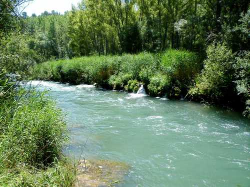 Forestal y pescador