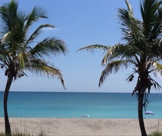 JupFla's profile picture. 