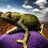 Txuribokata's profile image