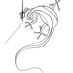 Salamander (@salamander_mag) Twitter profile photo Salamander (@salamander_mag) Twitter profile photo