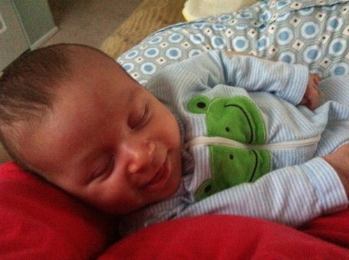 SeaShell0981's profile picture. 