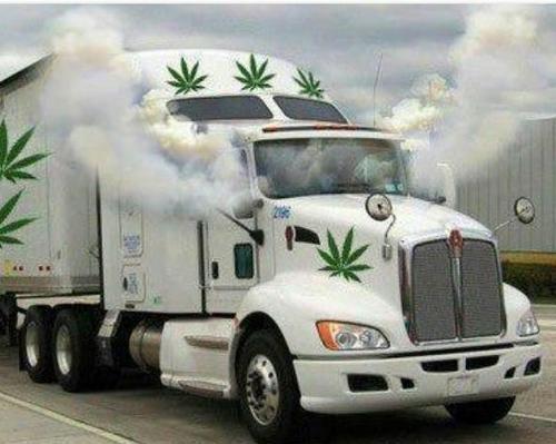 LOSLOBOS321's profile picture. Umilde y tranquilo y trabajador