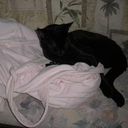 bailey hull - @baileybear5263 - Twitter