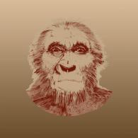 Around 6.1 million years ago, a new hominid species emerged near Rift Valley, Kenya. Its predecessor, a hominid species called Orrorin tugenensis, lived in dry