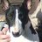 Stingerbee62's profile image