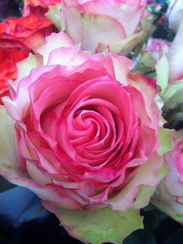 I am an Artist.  I love creativity, and I strongly believe that art can heal. I enjoy the crafts also. see my webpage!