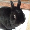 ginny morris - @ginny_morris - Twitter