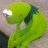 forero_rene's profile image