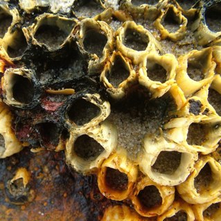 WadAndersnl's profile picture. #Fotografie en gemengde technieken. Maritieme zoutwater #kunst.