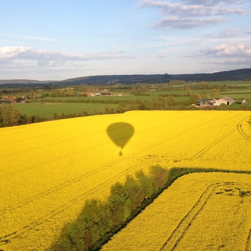 N2NJM's profile picture. 