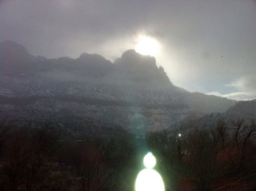 jaffacakejools's profile picture. sheffield lass at heart missing home