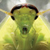 qlapasesbienamiguito (@fiestaquela) Twitter profile photo