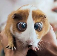 iVannitta_xD's profile picture. DIRECTIONER ツ
still looking for her blue prince or any color what important thing is that I loves me & make me laugh.....