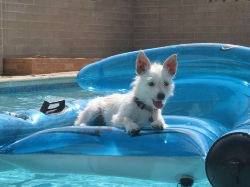 LauraHorvath's profile picture. 