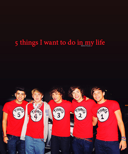 I Love One Direction & Chet Lloyd, been supporters since the beginning. My inspirations, my world, MY EVERYTHING. Would love a follow, I follow back ;)