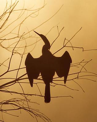 mikebenthompson's profile picture. 