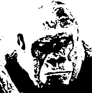 gorilla_net's profile picture. Just some god damned gorilla.