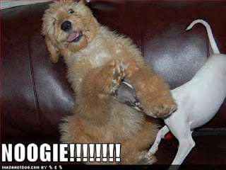 iamreazm's profile picture. I am paul my gamertag is Avekz