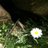StephanieThoms8's profile image