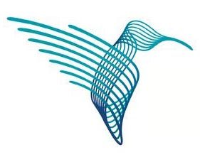 O'Brien Institute Department of SVI Profile