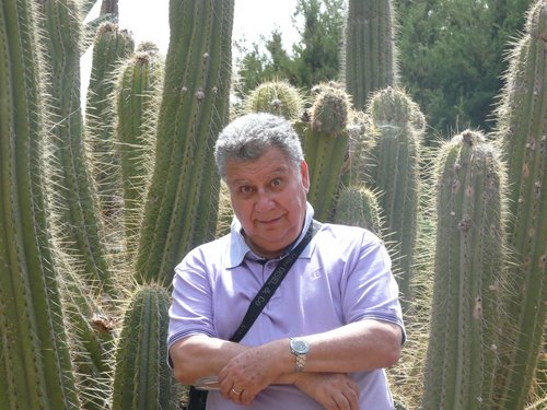 Formerly a professor of zoology, nowadays just a conservationist, living in a  quiet house in the woodland and writing books to fight for a green world