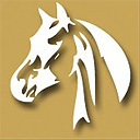 Horse racing is about family, fun,history, tradition,  pageantry, legacy, beauty, sport, and Competition. Follow us to learn more about the Sport of Kings