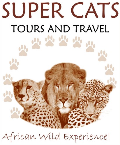 stevesupercat's profile picture. Super cats tours and travel arrange  holiday safaris in Kenya and Tanzania. Camping, lodge safaris to parks and beach vacations