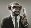 InfoSec / OpSec / Splunk Ninja / Nuisance