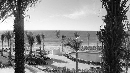 Niki_Randall's profile picture. On Premise Sales at The Bacchus Group. Passion and adventure for great food, wine, cocktails and all things delicious!