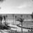 Niki_Randall's profile image