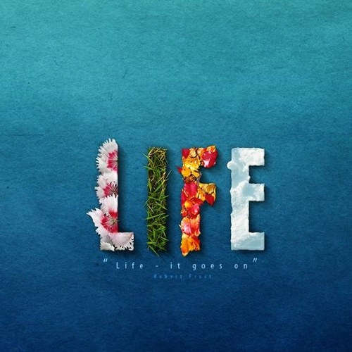 delia_mae's profile picture. 