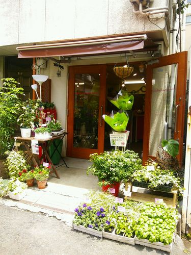 ２０１２年４月１１日にオープンした渋谷区広尾にある花屋です。
花束、アレンジメントなどお客様のご希望に
沿ったものをお作りいたします。
鉢物は、プランター植え替え等も致します。
全国配送も承ります。（一部地域を除く。）
 さくらのブログ：http://t.co/fTys3ITBUX