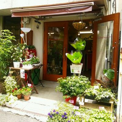 A Fleurs 渋谷区広尾 花屋 T Co Eyixemfefo 本日より 四ツ谷三丁目にて フレンチレストラン オワゾブルー が開店いたします Http T Co Jtucfrcweo