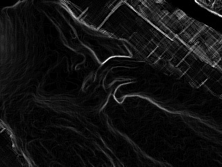 aalijn's profile picture. 