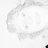Booby_Sniffer's profile image