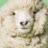 MOkenkenLL's profile image