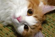 YamaPさんのプロフィール画像
