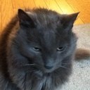 Colby Richardson - @ColbyRichardso4 - Twitter